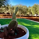 Amorina Villa Ostuni