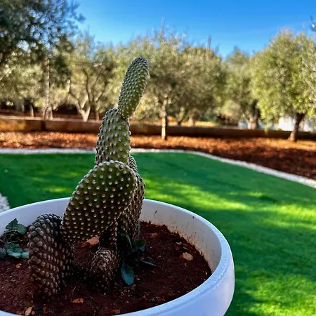 Amorina Villa Ostuni